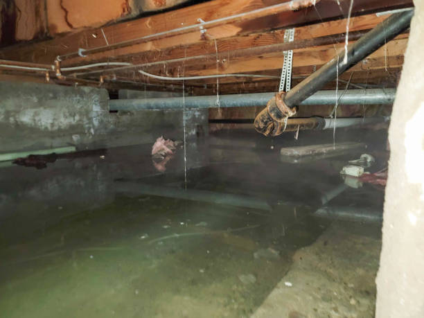 Best Residential Water Damage Restoration in Alturas, CA